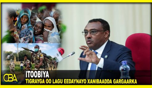 “TPLF iyagaa hortaagan in dadka Tigrayga gargaar la gaadhsiiyo”. Raysal-wasaare ku-xigeenka Itoobiya