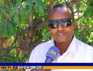 “Buur-madow Hadii Uu Somaliya Tago Iyo Hadii Kale-ba Waa Boqorkayagii” Abwan Ku-jarre.