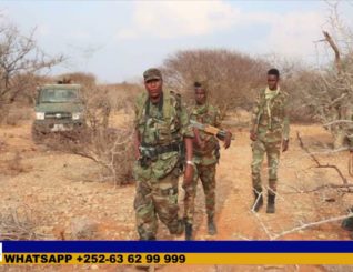 Ciidamada Militariga Soomaaliya ayaa Howlgalo  ka dhan ah Al-Shabaab ka fuliyey Gobalka Gedo.