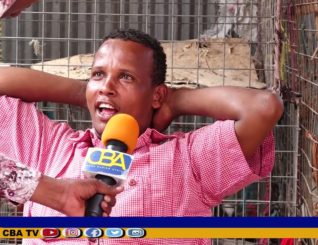 Hilibka Digaaga ee laga keeno dalka Dibadiisa oo caqabad ku noqday Ganacsiga Digaaga Soomaaliya.