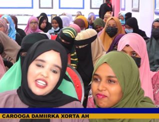 Raadraaca aragtida xagjirnimada ee gayiga Soomaalida/Xasan Suudi.