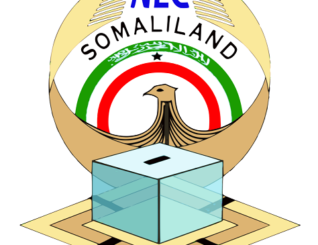 Somaliland; International Observers recommend for Somaliland to reform its political party system