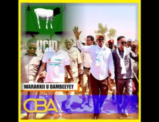 “Bulshada Daad-madheedh 30 sanno looma qodin Ceel biyood, Wasiir Cali Mareexaana shalay.