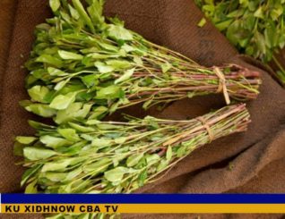 Dumar Soomaali ah Oo Laga Sii Daayay Xabsi Ku Yaala Malta, markii ay soo geliyeen jaad la ridqay.