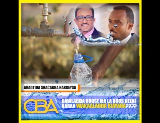 Jawaabta Shacabku kaga falceliyeen, In Wakaaladda Biyaha lagu wareejiyo Dawladda hoose ee Hargeysa!