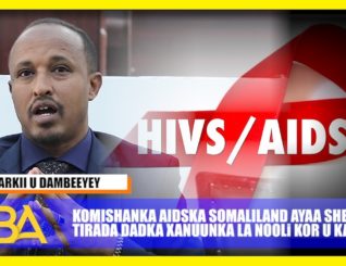 Komishanka AIDS ka Somaliland ayaa war kasoo saaray xaaladda faafitaanka Xanuunka HIV ga.
