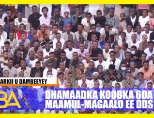 Koobka kubadda ee 6 da Maamul-magaalo ayaa lagu soo xidhay Caasimadda Jigjiga.