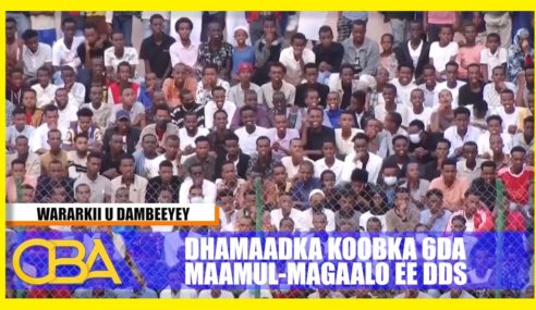 Koobka kubadda ee 6 da Maamul-magaalo ayaa lagu soo xidhay Caasimadda Jigjiga.