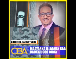 Qaar kamidda shacabka Hargeysa oo ku amaanay Maayarka Waxqabadkiisa iyo qurxinta Caasimadda.