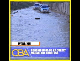 Roobkii gu’ga ayaa ka curtay Magaalada Hargeysa.