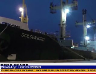 Ukraine War: UN Secretary General raise concerns over wheat shortage.