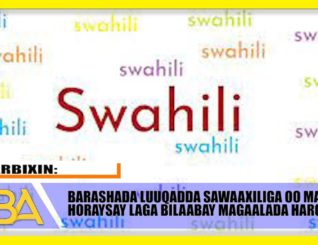 Warbixin: Barashada Luuqada Sawaaxiliga oo Hargeysa lagu barto.