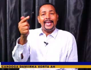 Warbixin: Maxay tahay dhibaatooyinka uu xeebaha Soomaaliya ka geystaa howlgalka Midowga Yurub