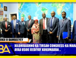 Xildhibaanno ka tirsan Congress-ka Maraykanka soo jeediyay in Maraykanku la Daristo Somaliland.