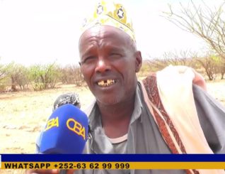 Gabiley:Beeralayda ayaa sheegay in xili qodaalka sanadkan ay saamayn ku yeelatay is bedelka cimiladu