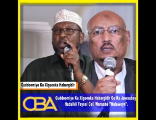 Guddoomiye Ku Xigeenka Habargidir Oo Ka Jawaabay Hadalkii Faysal Cali Waraabe “Walaweyn”.