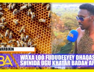 “Haddii aan helo qalab igu filan waxa laga maarmi doonaa Malabka dibedda inooga yimaad”