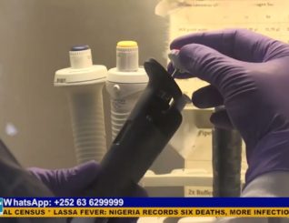 Lassa Fever: Nigeria records six deaths, more infections in one week