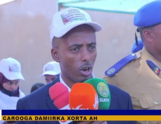 Maalinta dhir beerista oo laga xusay Gobolka Sool iyo dhir laga beeray.