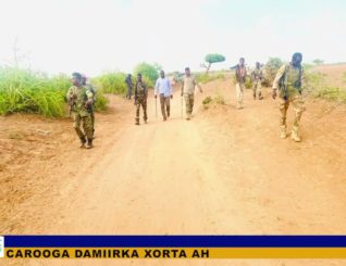 Militariga Soomaaliya ayaa Gobalka Shabeelaha Hoose ka fuliyey Howl lagu baadi-goobayo Maleeshiyaad