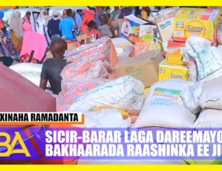 Wefti ka socda dalka Jabuuti oo soo gaadhay suuqa waaheen.