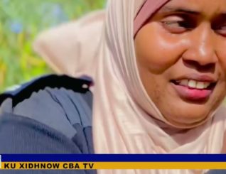 Waa sidee Xaaladda furimaha dagaalka ee Feerfeer?