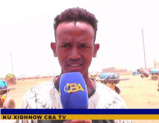 Warbixin Wajaale: Cabaddaha Biyooleyaasha dameerluhu kala kulmaan Wakaaladda biyaha!