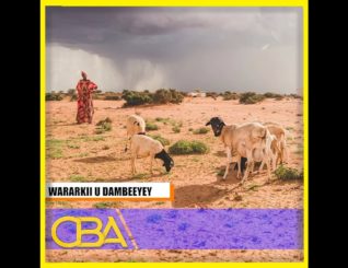 Wasiirka Wasaaradda Beeraha oo ka warbixiyey roobabkii da’ay!