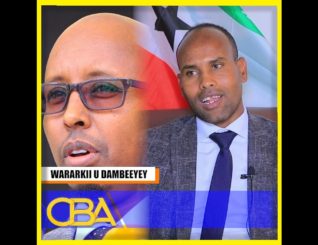 Guddida Arrimaha Dibadda ee G. Wakiiladda Somaliland oo u yeedhay Wasiirka Maal-Gashiga.
