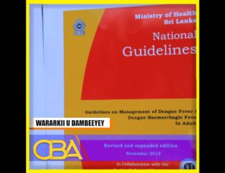 Waddani ayaa Xumada jirta ku sheegay masiibo ay Wasaaradda Caafimaadka Somaliland bulshada u qarisay
