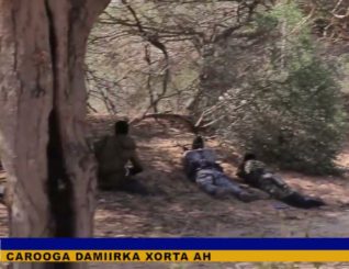 Wararkii ugu dambeeyay dagaalada shabeelada dhaxe iyo duqeyn ay diyaaradaha Turkigu ku garaaceen