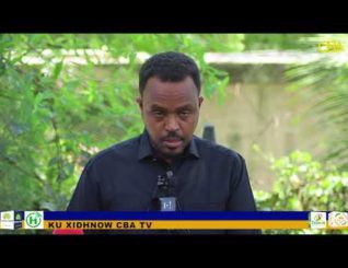 DFS ayaa  sheegetay in howgal ka dhacay ceeldheere lagu dilay in ka badan 100 qof oo ka tirsan AS