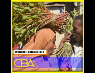 “7 qof ayaa Hargeysa Qaadka cuni jirtay wakhtigii Ingriiska waxana loo yaqaanay Saaqidiin”