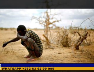 Dowladda Canada oo Soomaaliya ugu deeqday dhaqaalle gaadhaya $26 milyan oo dollar