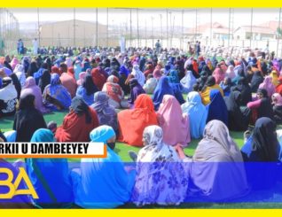 Haayada Saxaaba Foundation ayaa maanta kun qoys Hargeysa ugu Qaybisay Bustayaasha Dhaxanta.