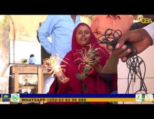 Qiimaha lagu kala iibsado kaluunka suuqyada Muqdisho oo sara u kac balaaran laga dareemayo.