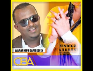 Xoghaye ku xigeenka Gaadiidka Xisbiga Waddani oo ka hadlay shaqada Wasaaradda gaadiidka.