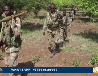 Wasaarada amniga gudaha ee XFS oo war-saxaafaded ka soo saartay dhaqan celinta xubnaha ka soo goosta