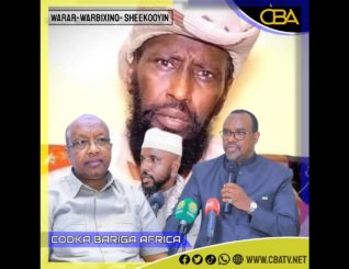 Wasiirka warfaafinta ayaa qaran dumisnimo ku eedeeyay mid kamid ah masuuliyiinta ugu sarraysa dalka.