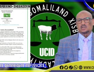 Xisbiga Ucid ayaa ugu baaqay gacmaha shisheeye in ay faraha kala baxaan xaaladda Laascanood.