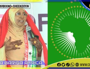 Safiya Cabdinuur,  xildhibaankii hore ee deegaanka IJAARA ee ismaamulka Gaarisa ayaa si adag ula hadashay Madaxweynaha kenya iyo Midowga Africa