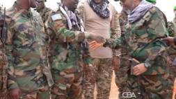 Madaxweynaha Soomaaliya ayaa gaadhay MAXAAS, isagoona bilaabay dardargelinta dagaalka A.S