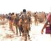 Somalia National Army Secures Control of Qodqod Region in Mudug