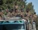 Amnesty International Accuses Eritrean Defense Forces of War Crimes in Tigray Region