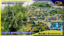 Iskaashatada Beeralayda Ceerigaabo iyo himiladooda soo noolaynta waxsoosaarka beeraha ee xarunta gobalka sanaag..