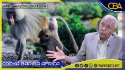 Xeeldheere:”Saddex qodob ayaa hortaagan wax-soosaarka bulshada Somaliland” Pro Axmed Cali Yasin Q-3