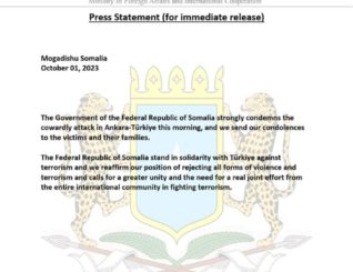 Somalia Government Condemns Ankara Attack