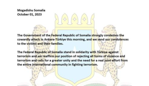 Somalia Government Condemns Ankara Attack