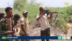 Baadhitaanno lagu sameynayo iska-hor-imaad khasaaro geystay oo dhexmaray Ciidanka Danab