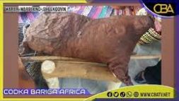 Ardaa Dhaqan: weelkii sahayda lagu qaadan jiray